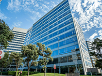 Globizz Bay Area Office