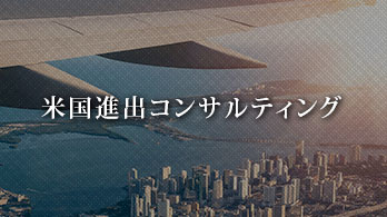 米国進出コンサルティング過去のプロジェクト